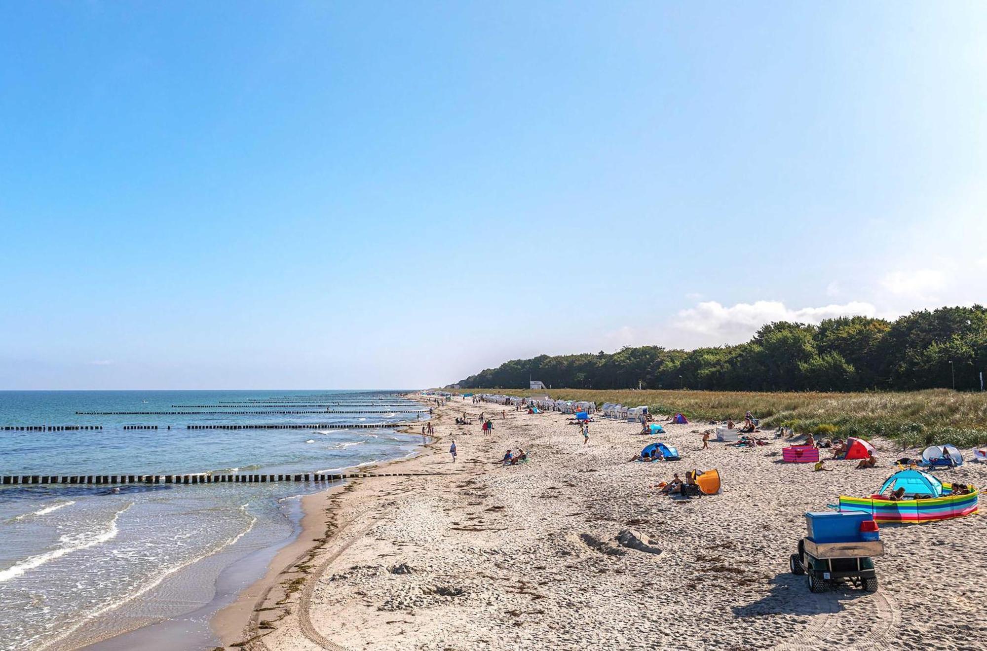 Apartment Deichrose Zingst